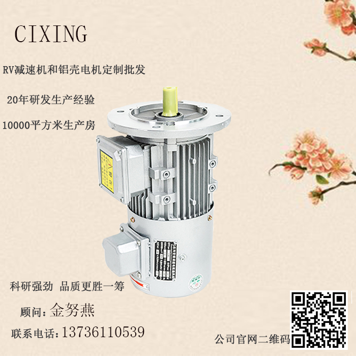 变频异步电动机