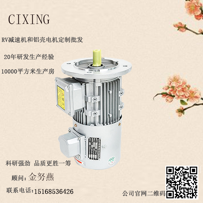 变频电机 变频电机