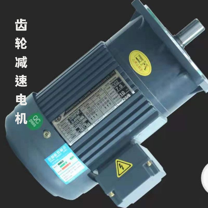 立式齿轮减速电机